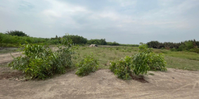 Chính chủ cần bán 2 lô đất ĐẸP xã Phước Khánh-Nhơn Trạch, giá đầu tư