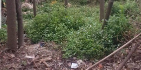 Đất thổ cư chính chủ cần bán mời các Nhà Đầu Tư vào việc ạ