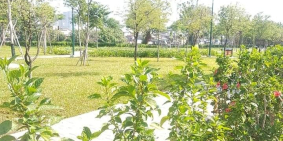 CẦN BÁN ĐẤT 7.600m2 TRẦN XUÂN SOẠN QUẬN 7 Siêu Phẩm