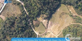 Bán đất TẢ PHÌN - SAPA 1100m thôn Tà Chải, xã TẢ PHÌN giá chỉ từ 1tr/m2