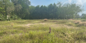 Bán đất thổ cư thị trấn Tân Châu