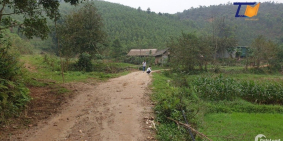 Mở bán Hoa Hậu 6838m2 Thanh Sơn Phú Thọ Giá rẻ LH: A Tiến 0586.22.9999