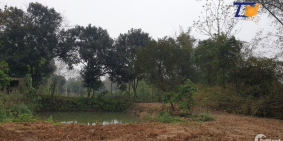 Đẹp miễn chê chính chủ cần bán gấp 3431m2 Thanh Sơn PHú Thọ giá cực rẻ