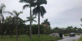 Bán đất biệt thự Nguyễn Đình Bể, ph Tân Bình, TP HD, 318.88m2, lô góc, đường 77m