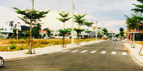 Mình chuyển công tác xa, cần sang nhượng gấp 2 lô đất liền kề 340m2, đã có sổ đỏ