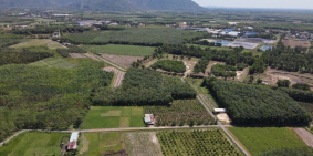 Đất giá rẻ trung tâm Thành Phố Tây Ninh chỉ 499 triệu nền 150m2 thổ cư 100%