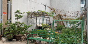 Bán lô đất ngang 6m hẻm daisu đường 30 tháng 4,PHƯỜNG RẠCH DỪA, VŨNG TÀU