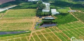 Bán lô đất ngay cạnh khu Safari, trang trại dưa lưới, đường thể hiện trên sổ