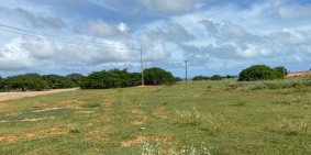 Bán đất xã Hồng Thái 9448m2 gần dự án giá 99.000đ/m2. Sổ riêng