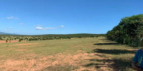 Bán 6664m2 đất sào hoà thắng cách đường nhựa ĐT 716 800m chỉ 900tr Lh 0938677909