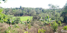 Đất Sào Đẹp View Ruộng Hướng Ra Khu Du Lịch Sinh Thái KOTAM