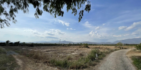 Cần bán10.000m2 đất có mặt tiền 150m đường betông Gía đầu tư tại Bình thuận