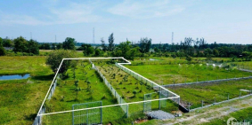 Đất vườn Củ Chi xã Trung Lập Hạ, sát thị trấn 833m2 giá ngộp 1ty800 SHR bao QH