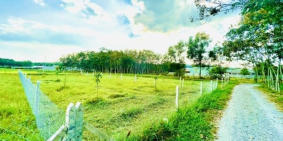 Đất vườn củ chi 500m2 giá ngộp 980tr, sổ hồng riêng. chính chủ gửi.