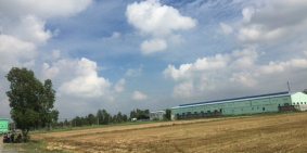 Bán đất tại Đường Tỉnh Lộ 7, Xã Phước Thạnh, Củ Chi, Hồ Chí Minh diện tích 500m2