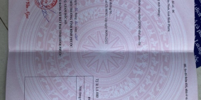 Đất sào sổ sẵn sát Kcn Ledana giá rẻ tiềm năng cao