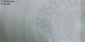 Chính chủ cần bán 1600m2 CLN xã đồng phú