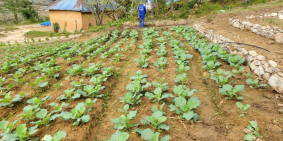 Đất nền SApa 2 đón đầu sóng công bố quy hoạch 1/500 . Lh e Trang 0988923435