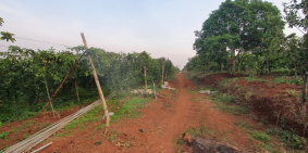 Không quá nhiều thửa đất Giá rẻ - View đẹp, Giá chưa qua đầu tư.Pleiku -Gia Lai