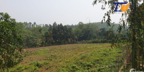 Siêu phẩm đất  Thanh Sơn Phú Thọ 7000m2 Giá vài trăm nghìn /1m2 LH: MR Tiến