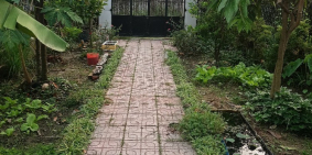 Đất nhà Dĩ An giá rẻ gần Khu di tích Hố Lang