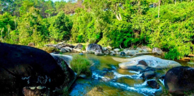 Đất nghỉ dưỡng khu suối thiên nhiên có 102 tại Bảo Lộc, sổ sẵn,980tr