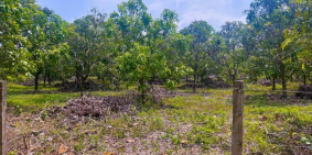 Cần bán mảnh vườn gần cầu Thanh Sơn tại Ngọc Định