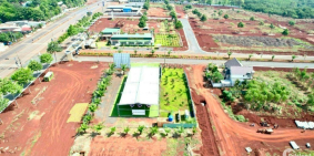 Bán đất giá rẻ mặt tiền đường lớn Bình Phước
