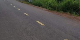 Tôi cần bán đất DH Tân Phước sổ sẵn 1.000m2 300tr ngân hàng hỗ trợ 50 phần trăm