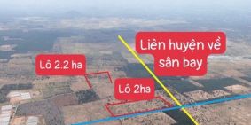 Bán 2ha liền kề đường sân bay Phan Thiết, dân cư điện nước đầy đủ