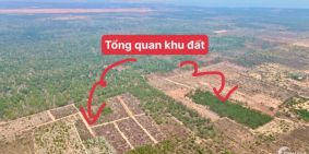 Đất liền kề sân bay kết nối thẳng ra biển