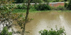 Bán đất nhà vườn - dt: 1986m2 - 210m2 thổ cư - view rạch - giá 14 tỷ