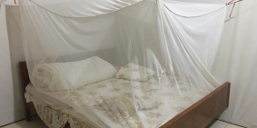 CHO THUÊ NHÀ CẤP 4 – 54M.  3 PHÒNG NGỦ + 1 BẾP + 1 VỆ SINH ĐƯỜNG 8M