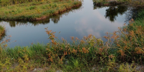 Kẹt tiền nên bán gấpp lô đất đẹp tại Bảo Lộc