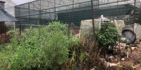 Cần bán đất Vạn Thành phường 5 thành phố Đà Lạt