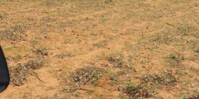 Bán đất vườn huyện bắc bình sổ sẵn từ 100k/m2 Lh 0938677909 Hiền xem sổ