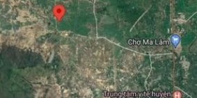 bán 6 lô thanh long giá rẻ sổ riêng, chỉ 160trieu 1 lô