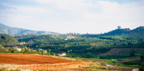 CHỦ NGỘP BÁN GẤP 1.1 SÀO XÃ NAM HÀ, 200M2 THỔ CƯ