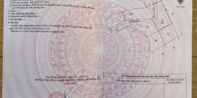 Đất ven suối Lũng Chuối, Bảo Lâm, 1000m2/900tr, sổ sẵn. Thuê lại 2 năm