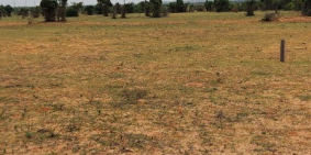 Bán 11,717m2 đất vườn hoà thắng cách ĐT 716 1.8km chỉ 145k/m2 Lh 0938677909 Hiền