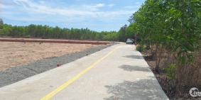 mua bán đất nền Bà Rịa Vũng Tàu đã lên sổ