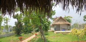 Siêu phẩm nhà vườn 1000m2 Võ Văn Điều, SHR, giá 2,3 tỷ