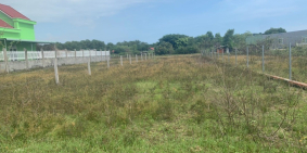 Đất biển Hồ Tràm, thổ cư cách biển 1km giá chỉ 14.2tr/m2