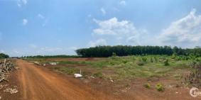 18 Nền Nguồn Kín Vừa Bung, Sổ Sẵn Giá Dành Cho Nhà Đầu Tư F0