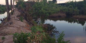 Bán đất 2 năm gần đây lên giá chống mặt