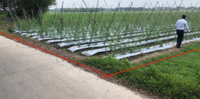 Đất ngay TL7 Củ Chi mặt tiền đường bê tông