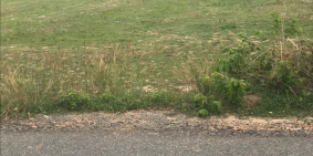 Lô đất ngon bổ rẻ, chiết khấu lên đến 8% Bến Cầu - Tây Ninh