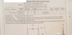 BÁN ĐẤT KIỆT OTO KHỔ BIỆT THỰ NGÔ GIA TỰ 