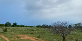 Bán 7810m2 đất phan rí thành 1,6 tỷ cách biển 1.5km, liên xã 140m Lh 0938677909