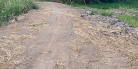 Đất vườn MT rạch DT 3064m2 gần chợ Trung An Giá 5.9 Tỷ